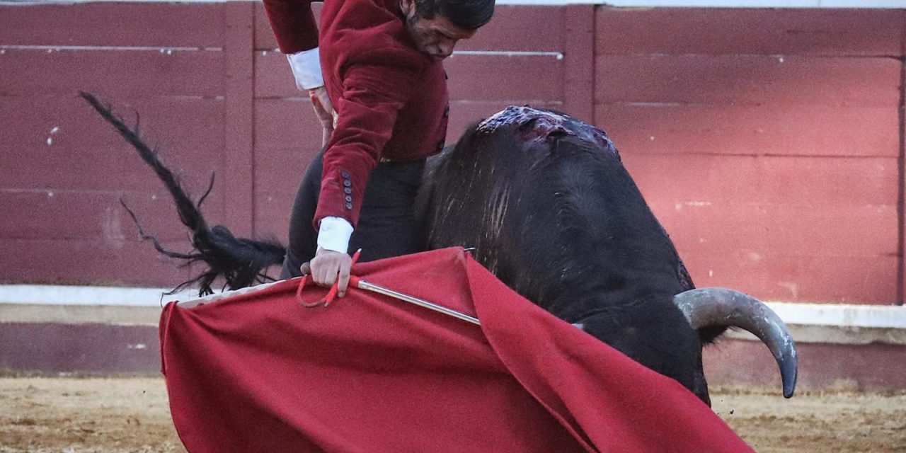 Pleno de triunfos en el festival de Lucena