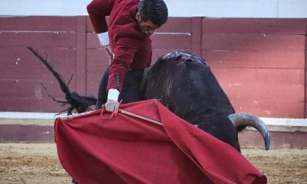 Pleno de triunfos en el festival de Lucena