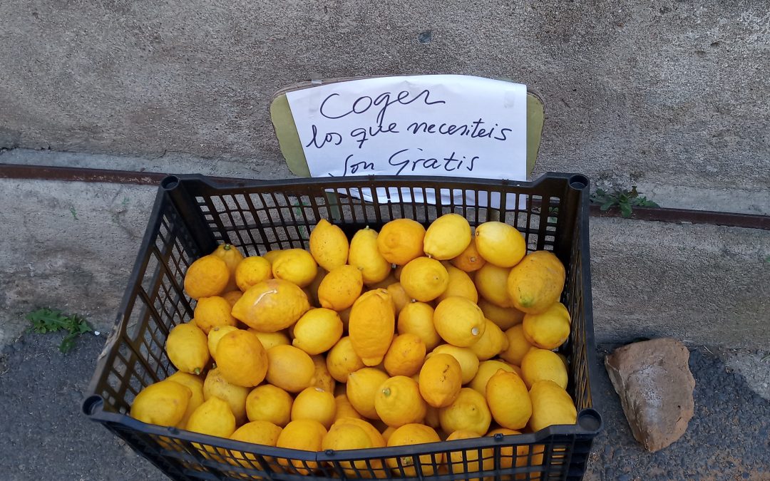 La revolución de los limones