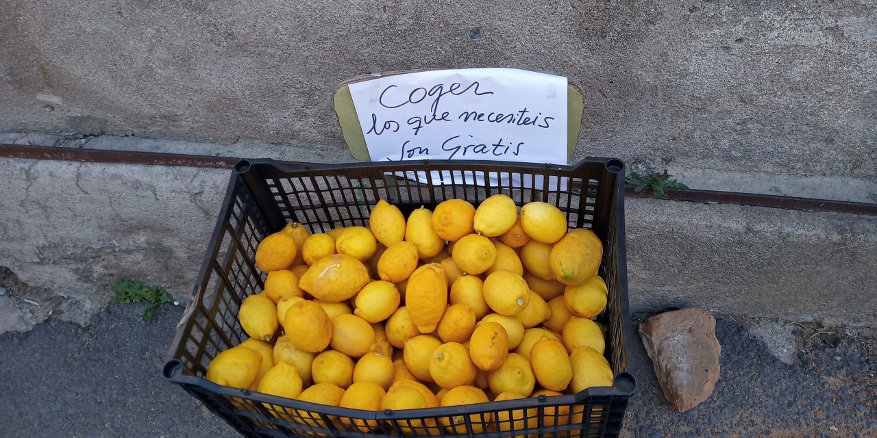 La revolución de los limones