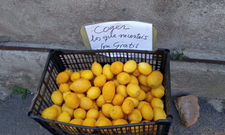 La revolución de los limones