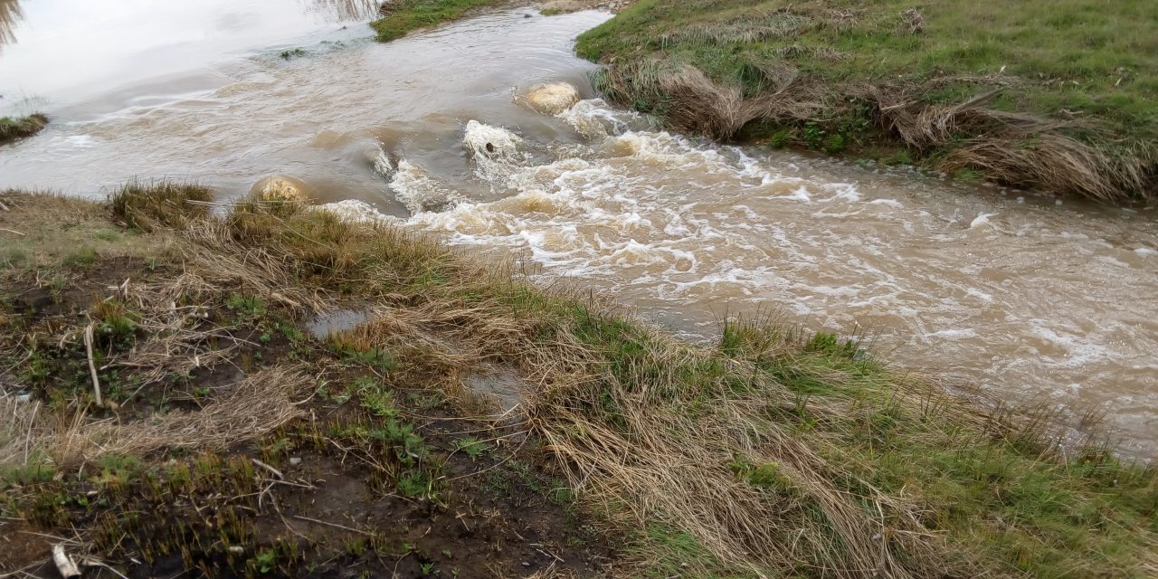 Un año de lluvias