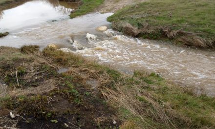 Un año de lluvias