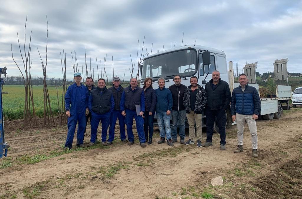 Más de 100 municipios recibirán árboles del Vivero de la Diputación de Cáceres