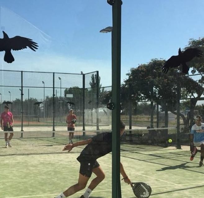 UN VERANO DE PELOTAS‼️