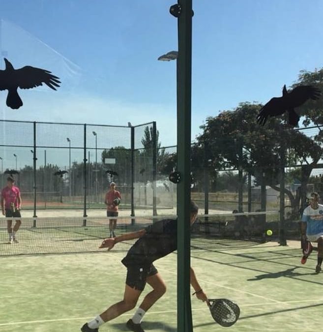 UN VERANO DE PELOTAS‼️