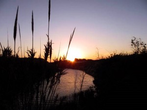 Campaña medioambiental en el IESO Vía Dalmacia de Torrejoncillo