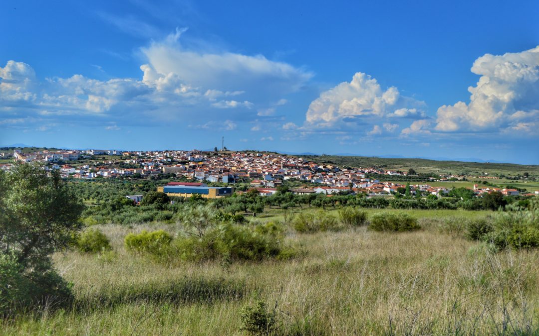 Convocadas ayudas municipales de hasta 550 euros para autónomos y empresas de Torrejoncillo y Valdencín