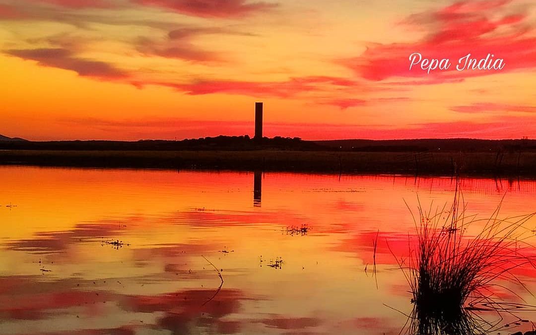 Campeonato de Extremadura de Pesca en Torrejoncillo