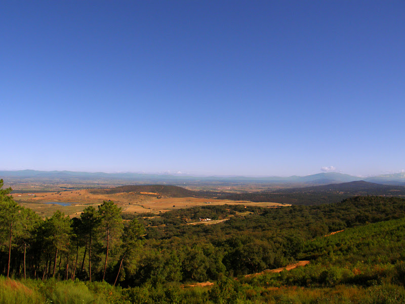 Declaran el manantial Sierra del Brezal, propiedad del Ayto. de Torrejoncillo, como de agua mineral natural