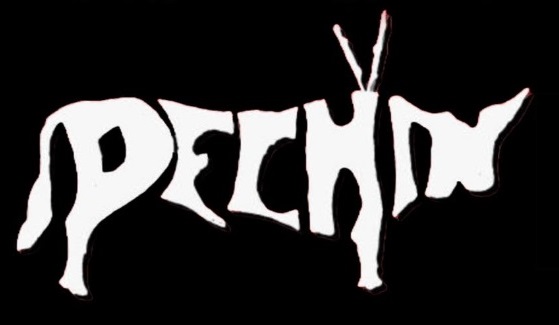 El Pechín, 50 años alegrando las Fiestas de Agosto.