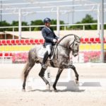 Pedro Emilio Serrano vuelve a ganar en el Concurso Nacional de Doma Clásica de Ecuextre en la Feria del Toro y el Caballo de Badajoz