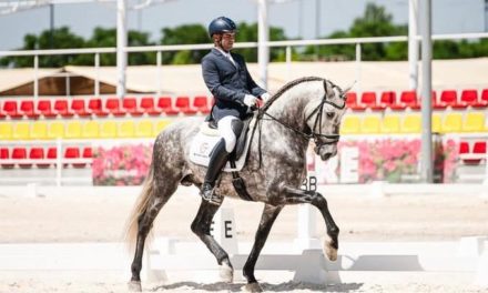 Pedro Emilio Serrano vuelve a ganar en el Concurso Nacional de Doma Clásica de Ecuextre en la Feria del Toro y el Caballo de Badajoz