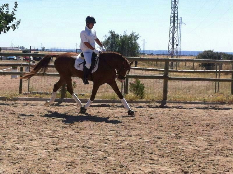 Pedro Emilio Serrano ganó este fin de semana el III CDT “La Peña del Toro”