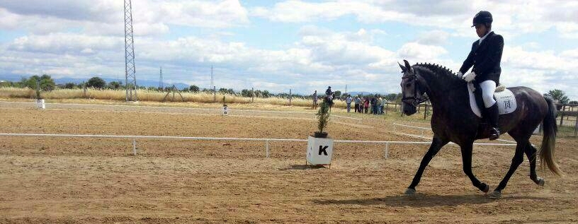 El jinete torrejoncillano Pedro Emilio Serrano Moreno debutó en concurso oficial