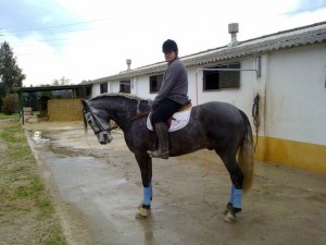 Pedro Emilio Serrano, junto a uno de los caballos que monta en Talayuela - CEDIDA