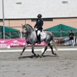 Nuevos triunfos de Pedro Emilio Serrano en el mundo del caballo
