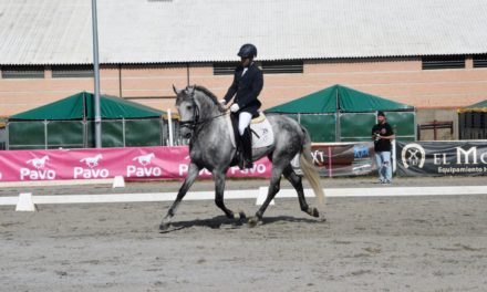 Primera y Segunda posición en CDN y Copa ANCCE en la XIV Ecuestre, Feria del Caballo y el Toro 2023