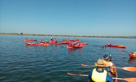 Paddle Surf y Piragüas en Torrejoncillo