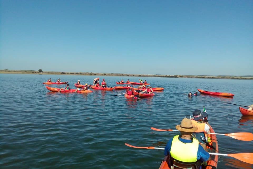 Paddle Surf y Piragüas en Torrejoncillo