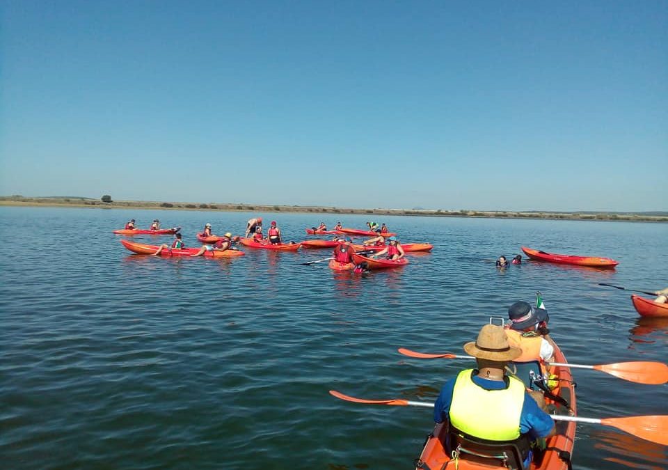 Paddle Surf y Piragüas en Torrejoncillo