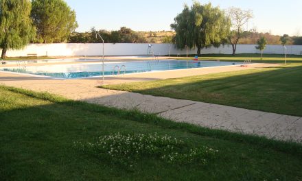 Nuevo arbolado para las piscinas municipales