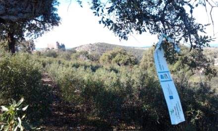 Todo preparado en la Villa de Portezuelo para la conquista del Castillo este Domingo