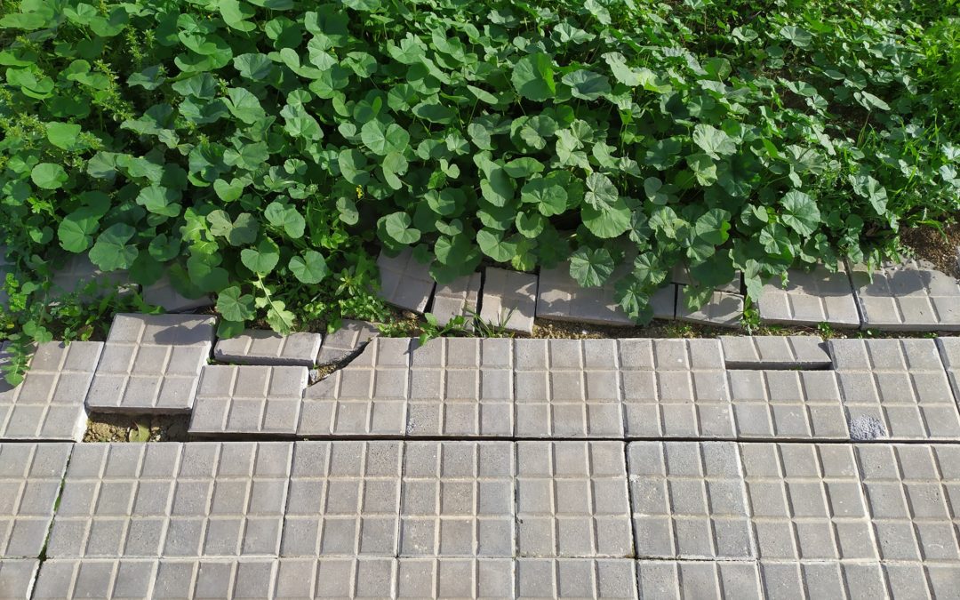 Prohibido subir a la acera para cargar agua del Pozo