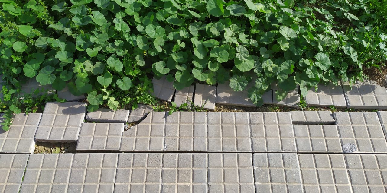 Prohibido subir a la acera para cargar agua del Pozo
