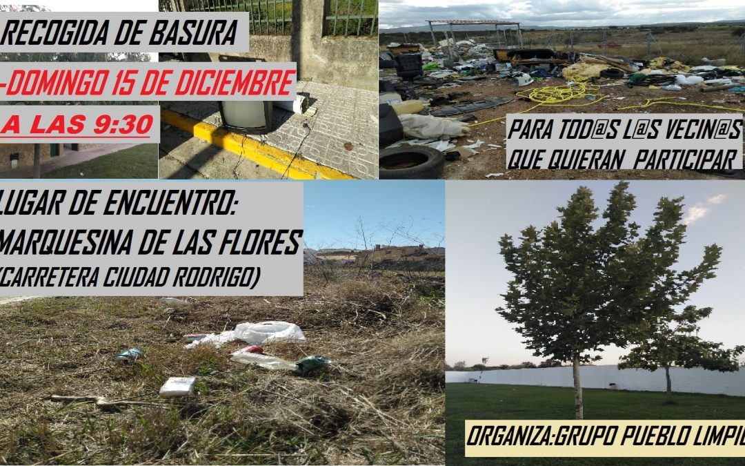 Recogida de Basura