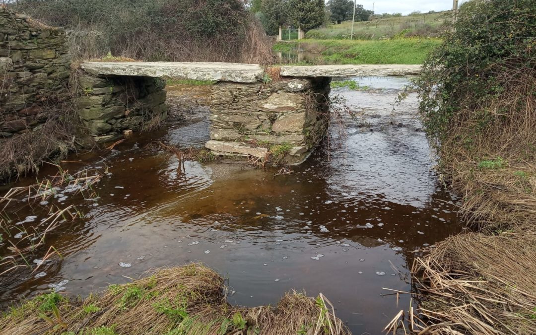 Ya llueve sobre mojado