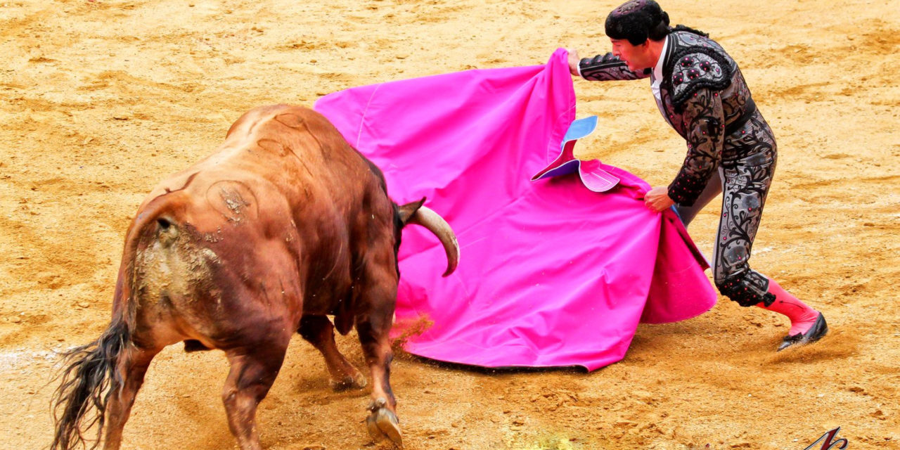 Homenaje a Rafa Cañada