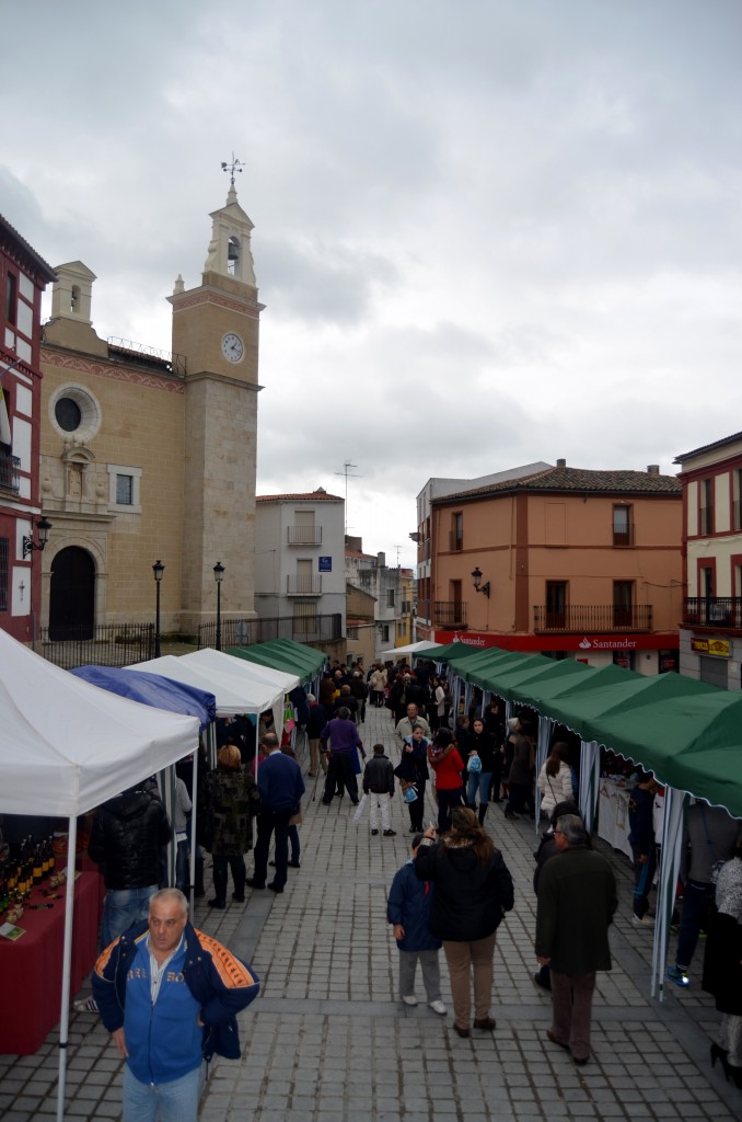 Rastrillo Torrejoncillo