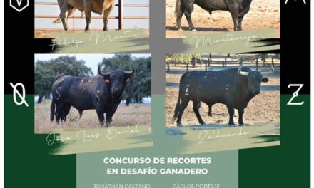 CONCURSO DE RECORTES EN DESAFÍO GANADERO