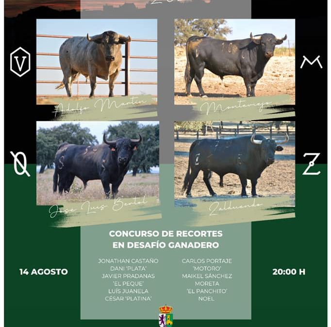 CONCURSO DE RECORTES EN DESAFÍO GANADERO