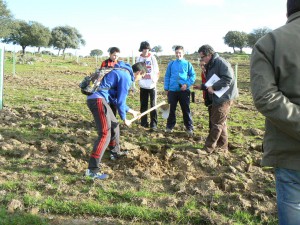 ReforestacionDehesa1ViaDalmacia