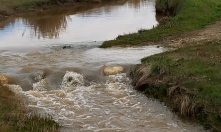 Ya llueve sobre mojado