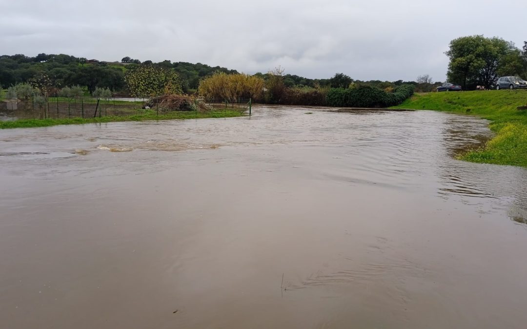 El pluviómetro de TTN nos deja muestra de la cantidad de agua caída en la última semana