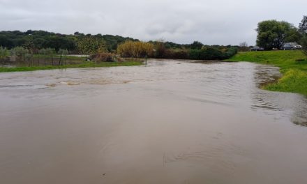 El pluviómetro de TTN nos deja muestra de la cantidad de agua caída en la última semana