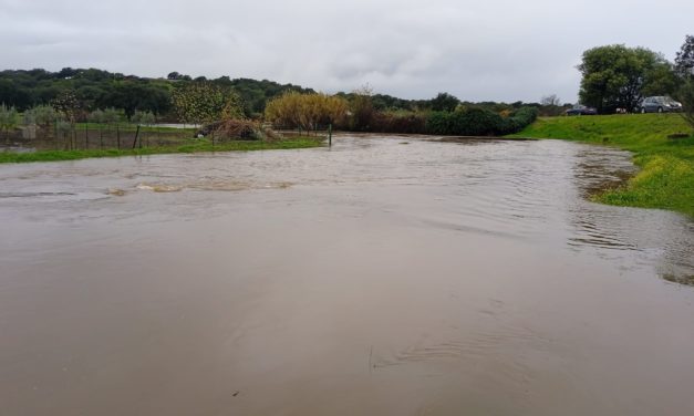 El pluviómetro de TTN nos deja muestra de la cantidad de agua caída en la última semana