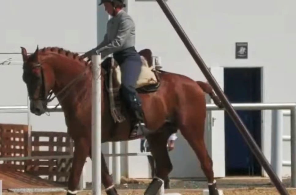 Este fin de semana es importante para el deporte torrejoncillano