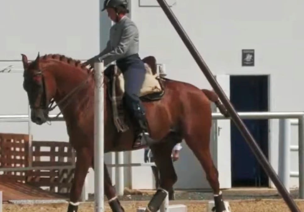 Este fin de semana es importante para el deporte torrejoncillano