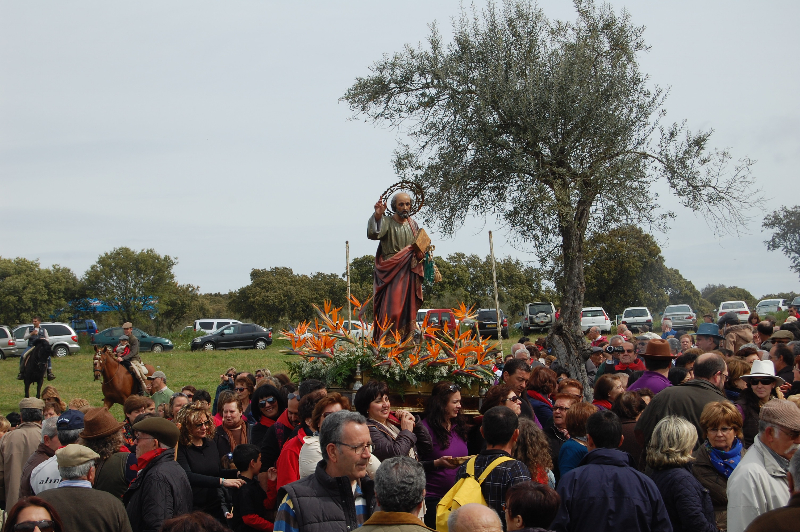 Galería Fotográfica sobre la Romería de San Pedro