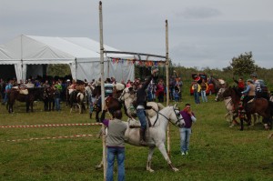 Carrera de cintas en la Pradera - JOSÉ PEDRO MARTÍN