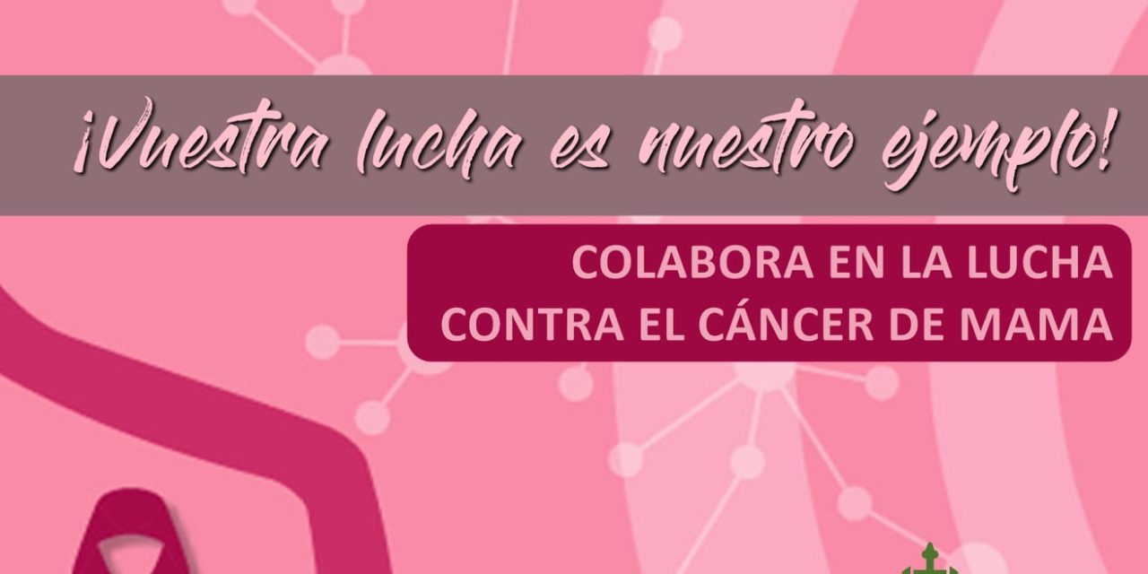 MARCHA ROSA CONTRA EL CÁNCER ESTE MARTES EN VALDENCÍN