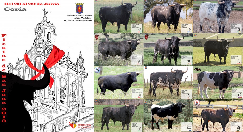 Cartel de los toros que se lidiarán en los Sanjuanes 2013 - AYTO. DE CORIA