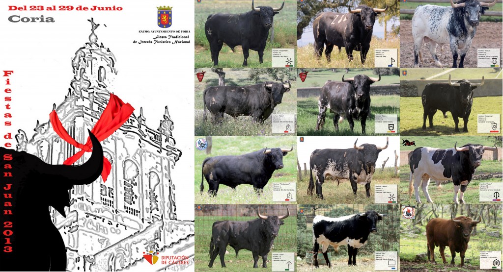 Cartel de los toros que se lidiarán en los Sanjuanes 2013 – AYTO. DE CORIA