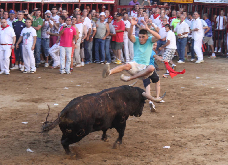Esta noche se presentan los toros que se lidiarán en los Sanjuanes 2013
