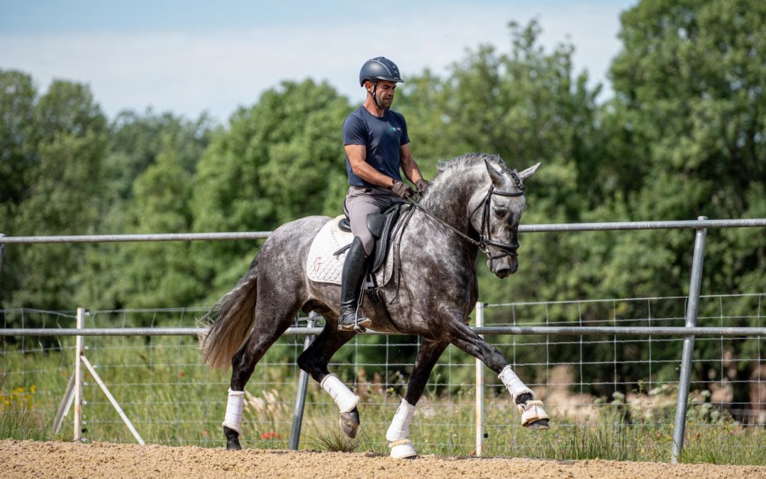 Pedro Emilio con Cacique y Lujo de Gredos vuelven a estar en lo más alto a nivel nacional