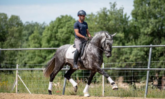 Pedro Emilio con Cacique y Lujo de Gredos vuelven a estar en lo más alto a nivel nacional